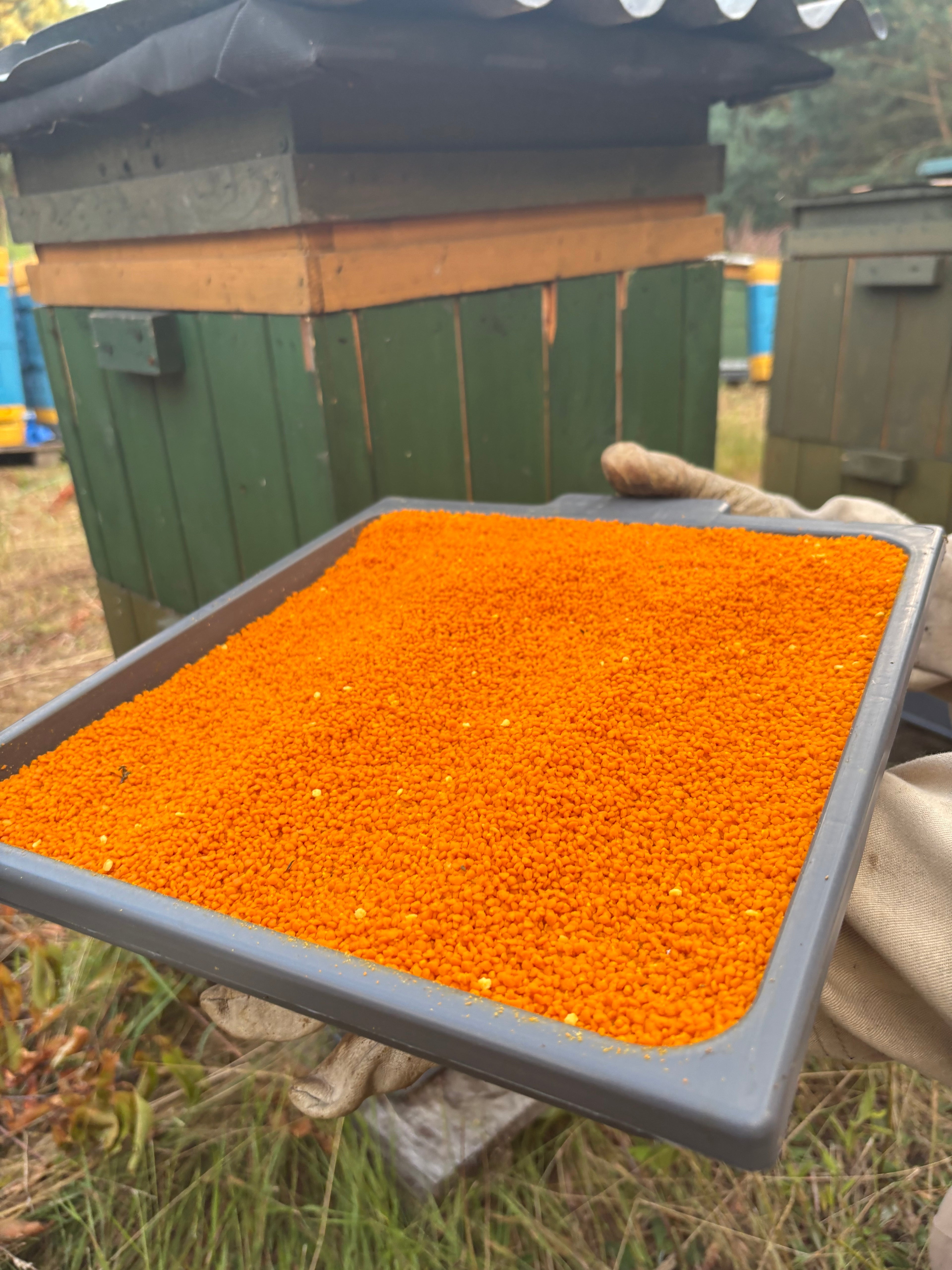 Pyłek kwiatowy 0.5 kg